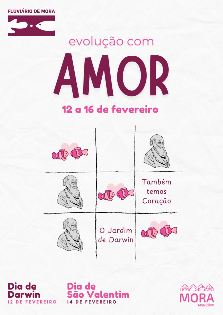 atividades fluviario darwin namorados A3