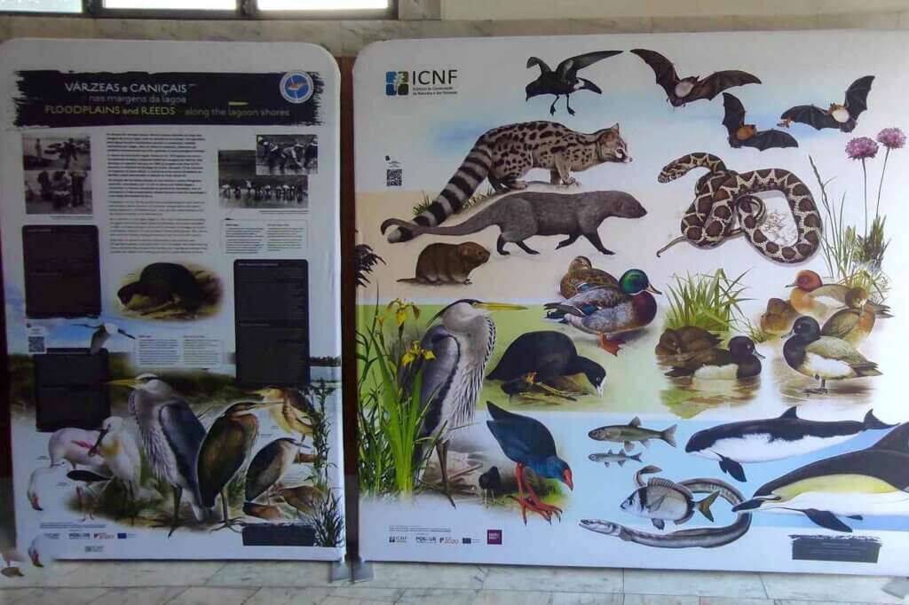 Fluviário de Mora pelos caminhos da Água Doce no Seminário Nacional “Equipamentos de Educação Ambiental: Inovar no Território” g