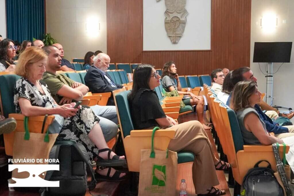 513826031 1123707069791238 1785971561008573939 n